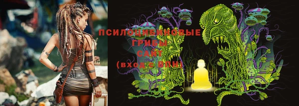 кристаллы Бородино