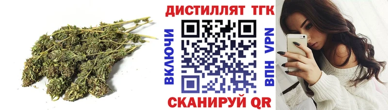 Купить закладки  Отрадное  ТГК гашишное масло 